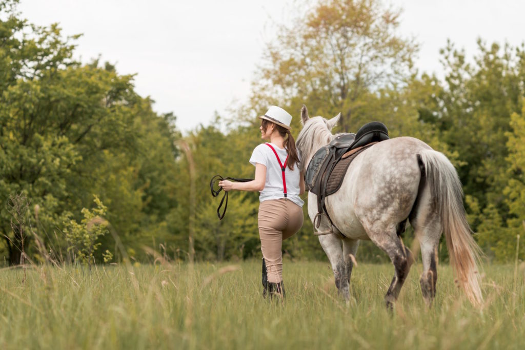 Koni towarzyszą nam od wieków, pełniąc różnorodne role - od zwierząt roboczych po partnerów w jeździectwie